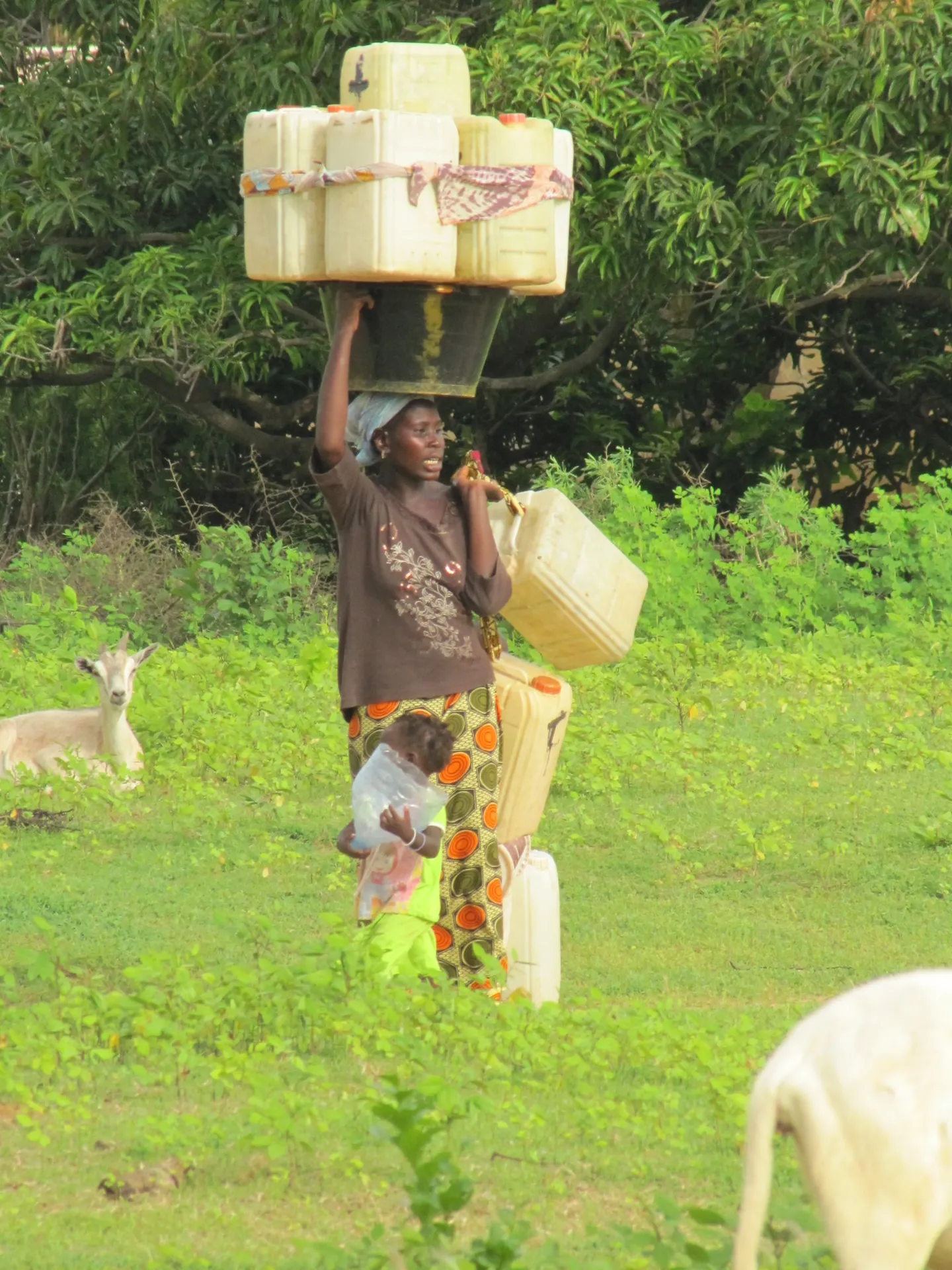 Femme transportant des bidons d'eau potable en Afrique